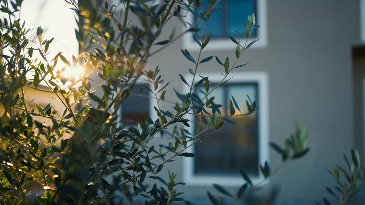 Villa & Jardin - Luxury Villa With Swimming Pool Vrh  المظهر الخارجي الصورة